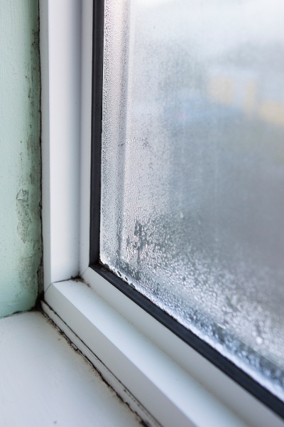 poorly sealed window framing causing mold damage