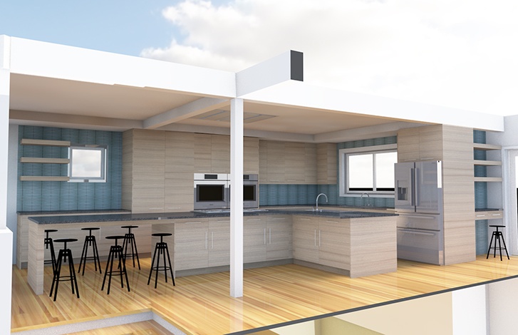 BIMx Archicad Seattle Kitchen Remodel Rendering