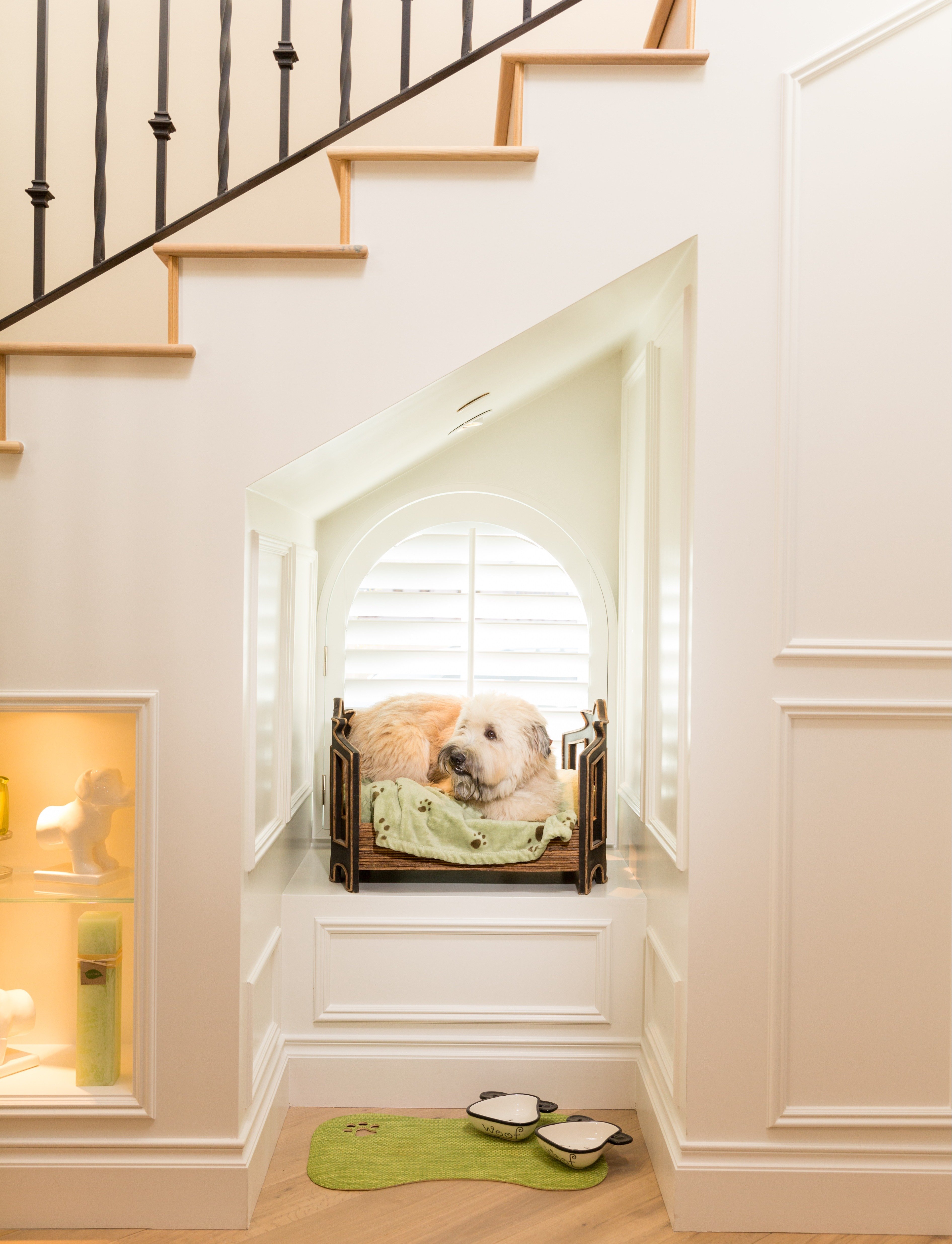 5 Ingenious Ways to Incorporate Your Pets Into Your Remodel