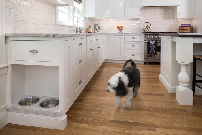 Kitchen with Built-In Dog Bowls