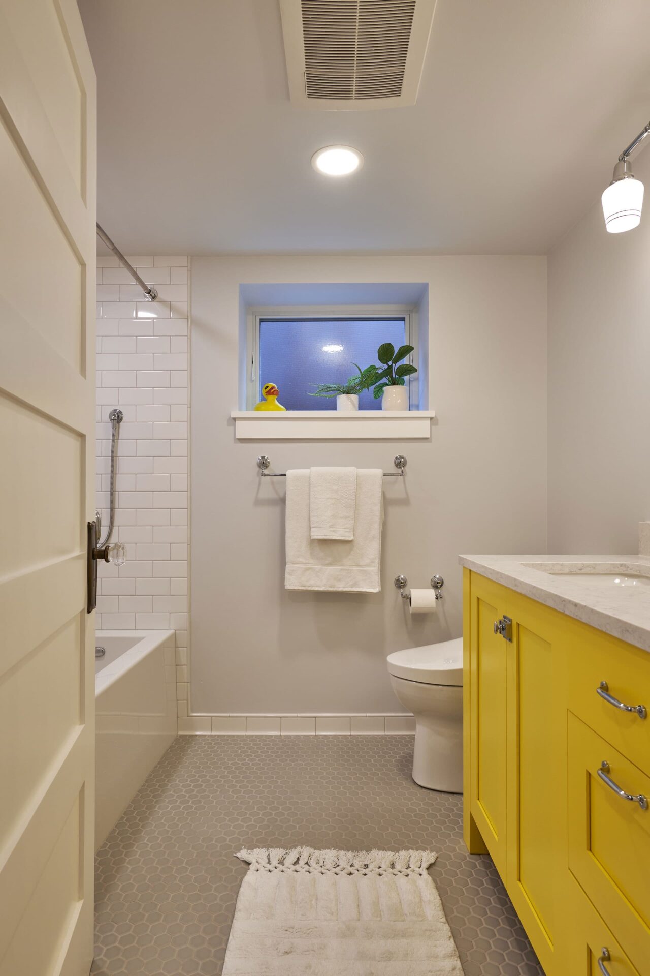 Mount Baker Basement and Bathroom